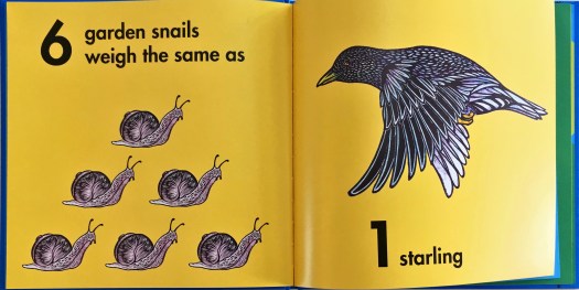 How Much Does a Ladybug Weigh? Snails &amp; Starling